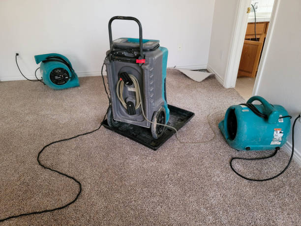 Best Water damage cleanup near me  in Fultonde, AL