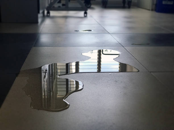 Best Professional water damage repair  in Fultonde, AL